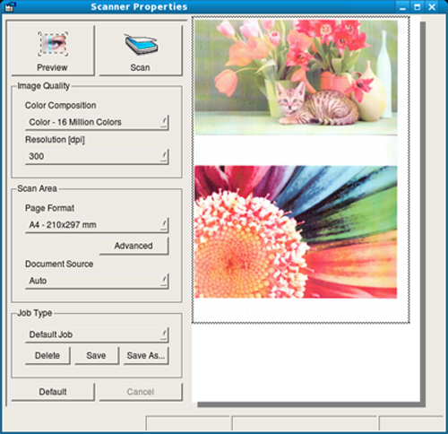 Preview Scan Scan features